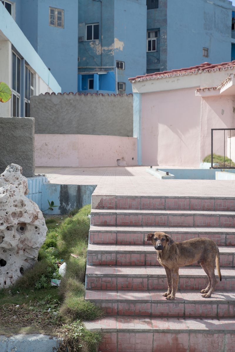 © Wenkai Wang - Image from the Day for Night photography project