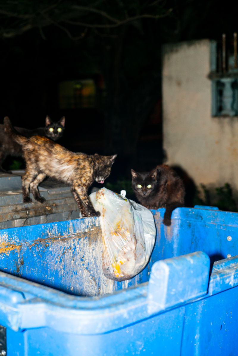 © Wenkai Wang - In the middle of something