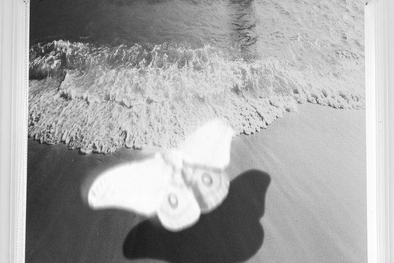 © Wenkai Wang - Image from the Somnia photography project