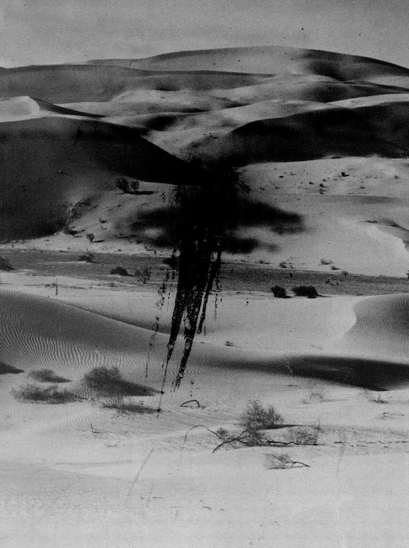 © Wenkai Wang - Image from the Somnia photography project