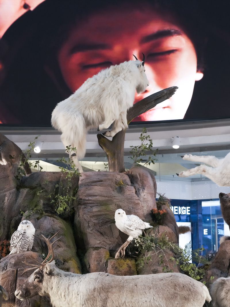 © Wenkai Wang - LED