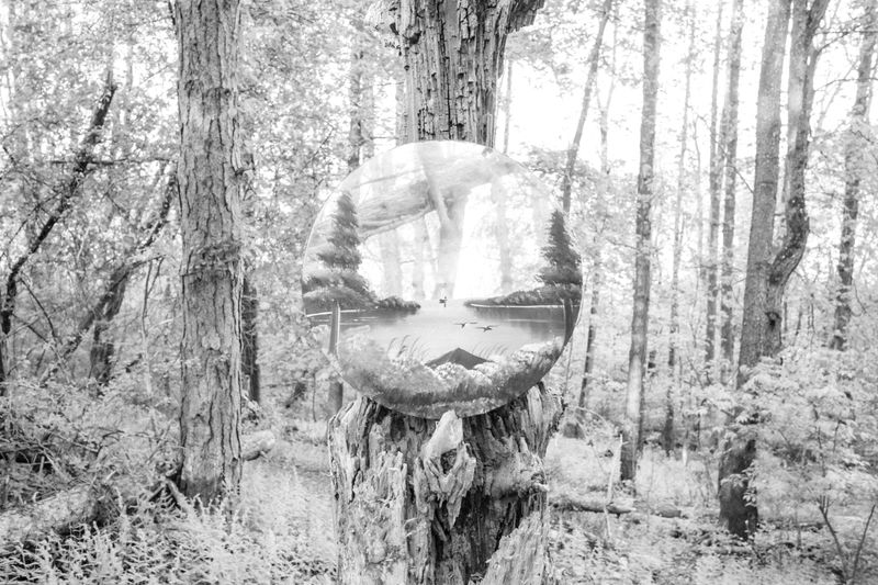 © Caleb Stein - Forrest Portal. The Watering Hole. 2022.