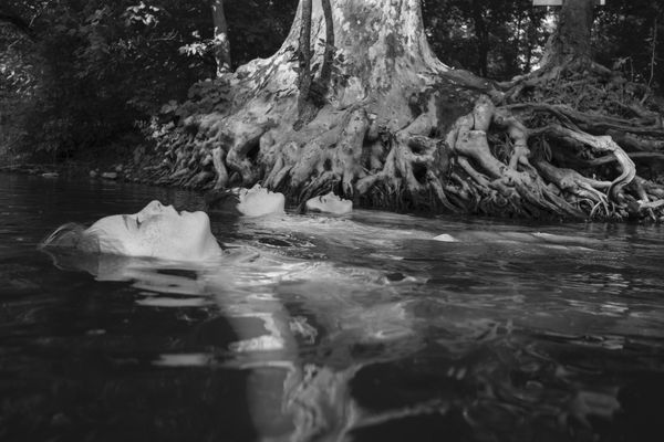 © Caleb Stein - Matthew, Jackson and Oden. The Watering Hole. Poughkeepsie, NY. 2018.