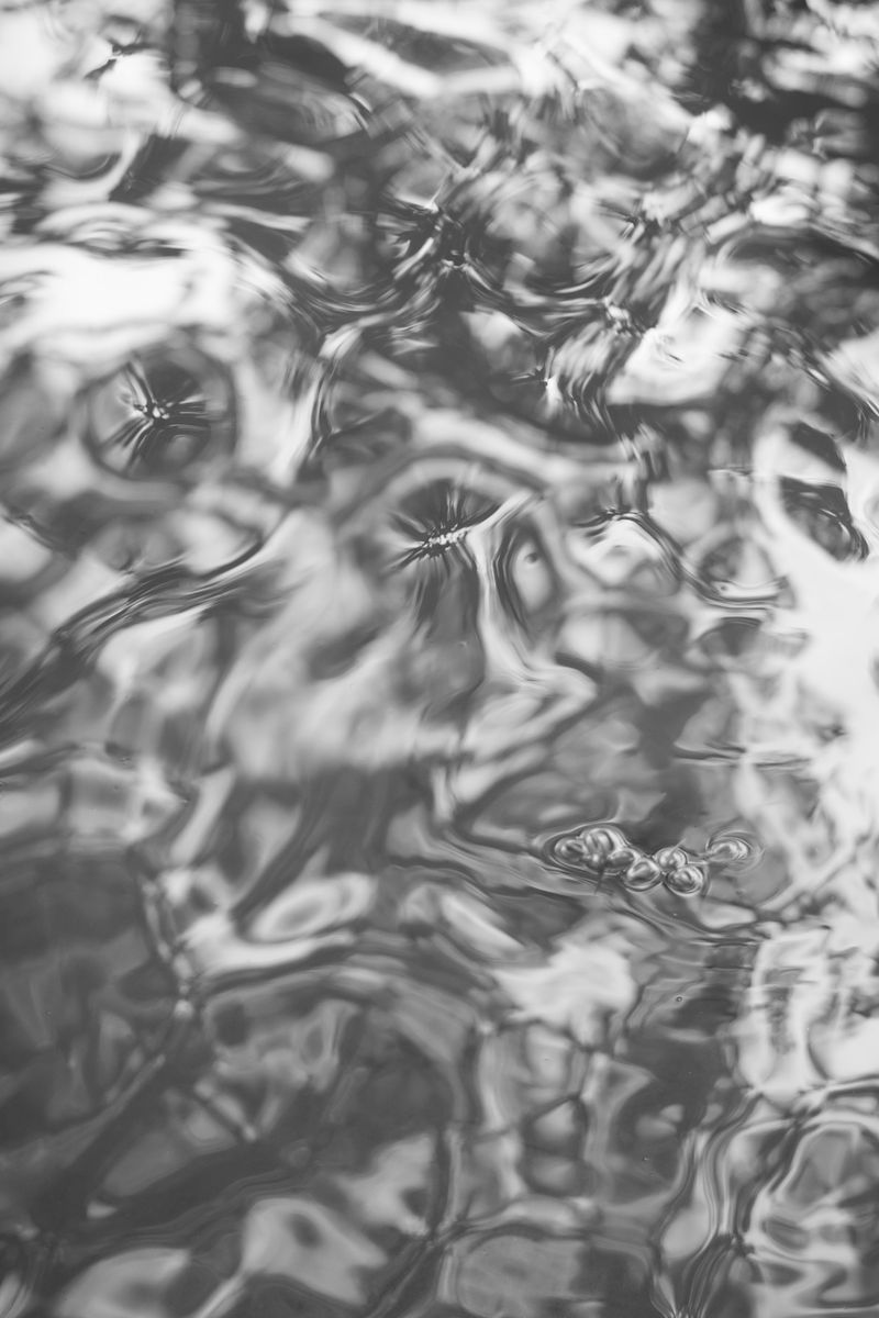 © Caleb Stein - Water Mirror, The Watering Hole, 2025