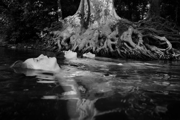 © Caleb Stein - Matthew, Jackson, & Oden, The Watering Hole, 2018