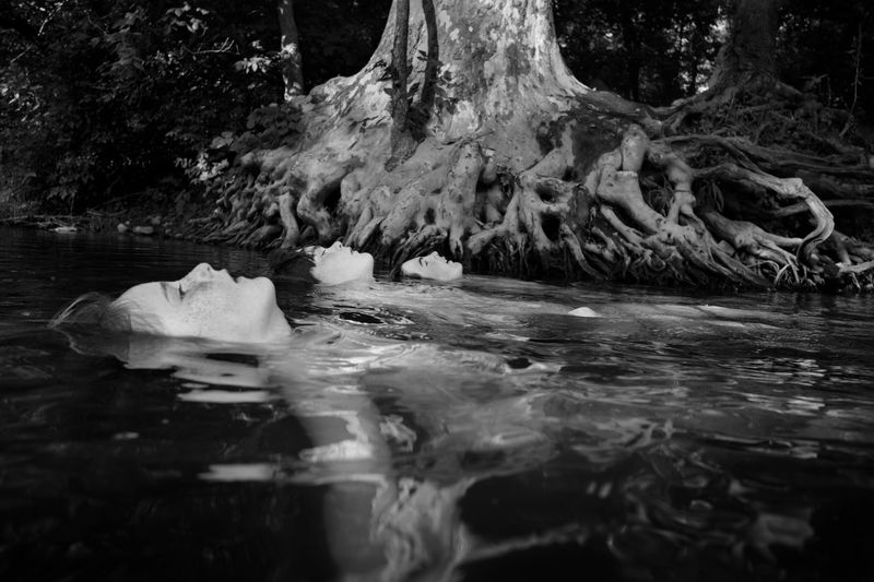 © Caleb Stein - Matthew, Jackson, & Oden, The Watering Hole, 2018