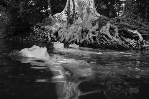 © Caleb Stein - Matthew, Jackson and Oden. The Watering Hole. Poughkeepsie, NY. 2018.