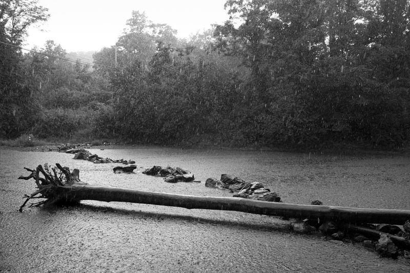 © Caleb Stein - The Watering Hole, Raining, The Watering Hole, 2020