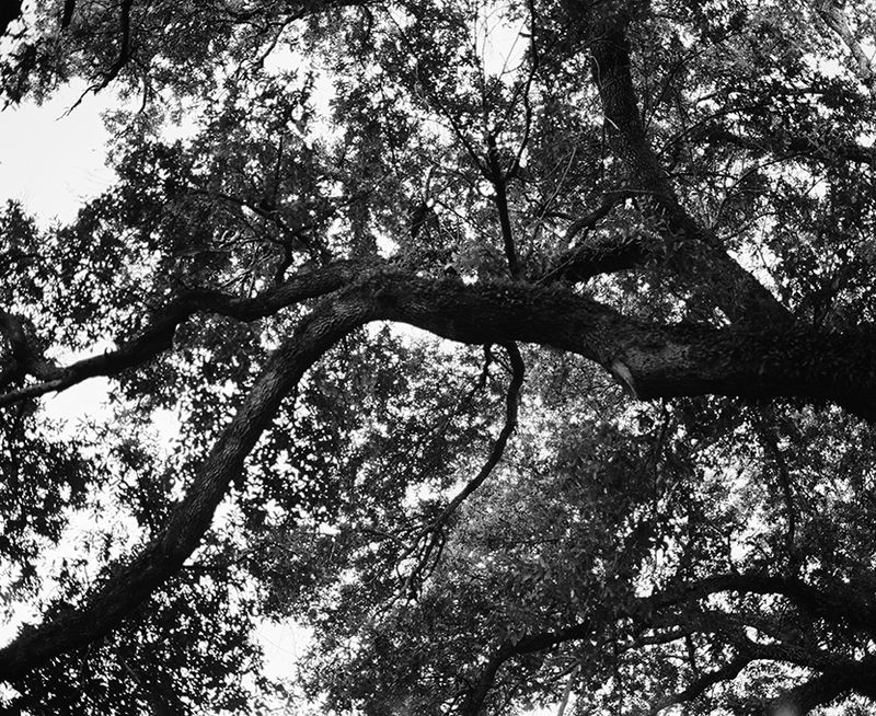 © Mélanie Desriaux - Image from the The passengers of the Mississippi photography project