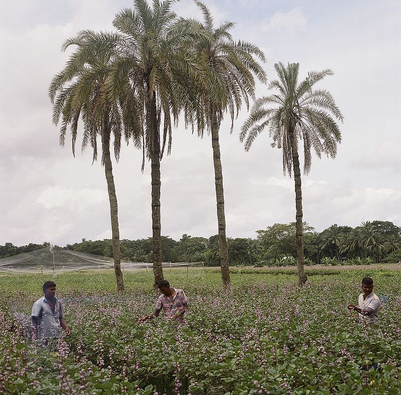 © Misty Keasler - Image from the Jibita photography project