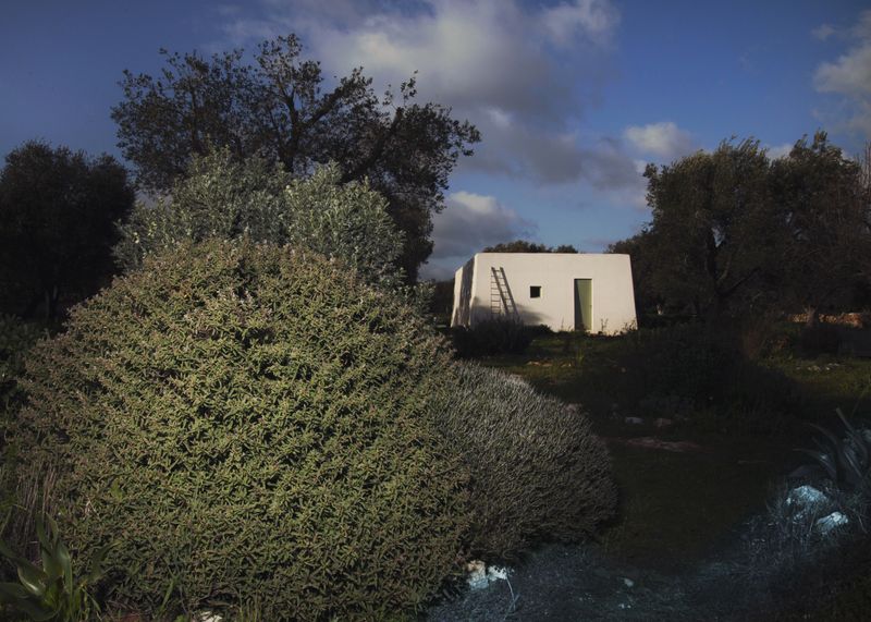© Gassi - Image from the Seconda Natura photography project
