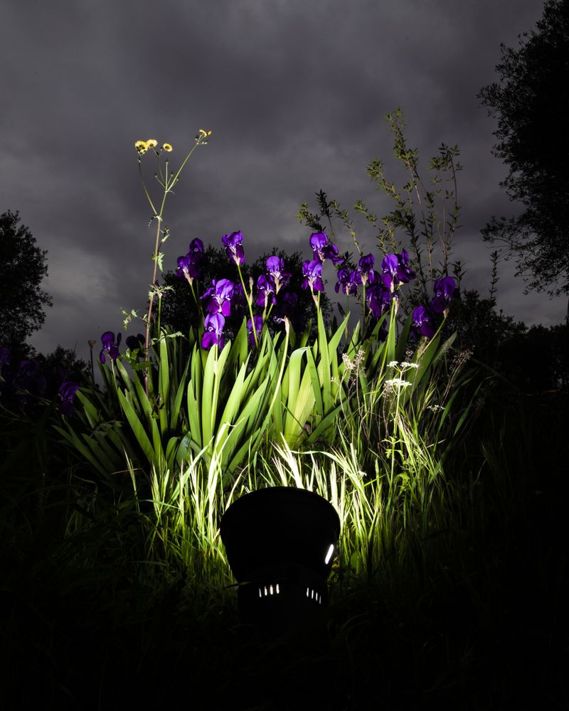 © Gassi - Image from the Seconda Natura photography project