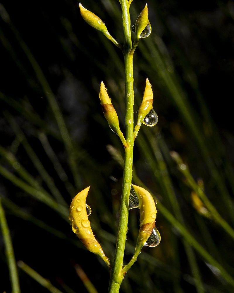 © Gassi - Image from the Seconda Natura photography project