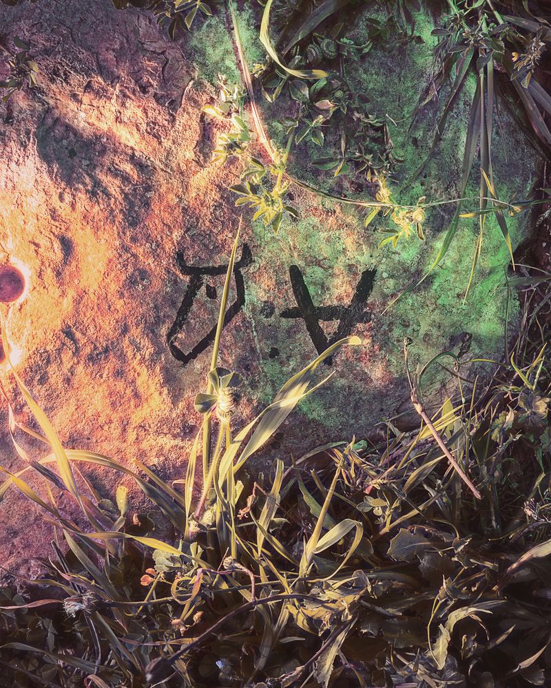 © Gassi - Image from the Seconda Natura photography project
