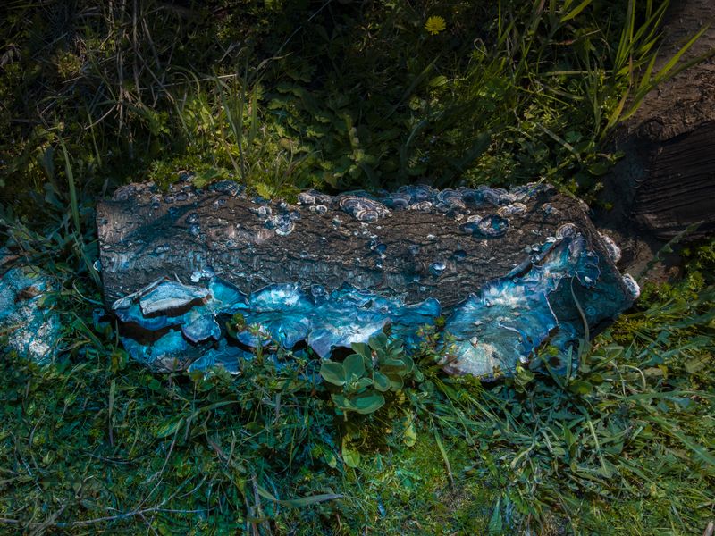 © Gassi - Image from the Seconda Natura photography project