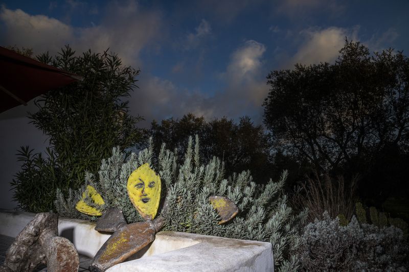 © Gassi - Image from the Seconda Natura photography project