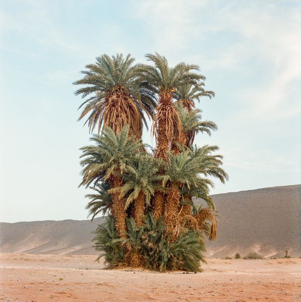 © M'hammed Kilito - Image from the Before it's gone photography project