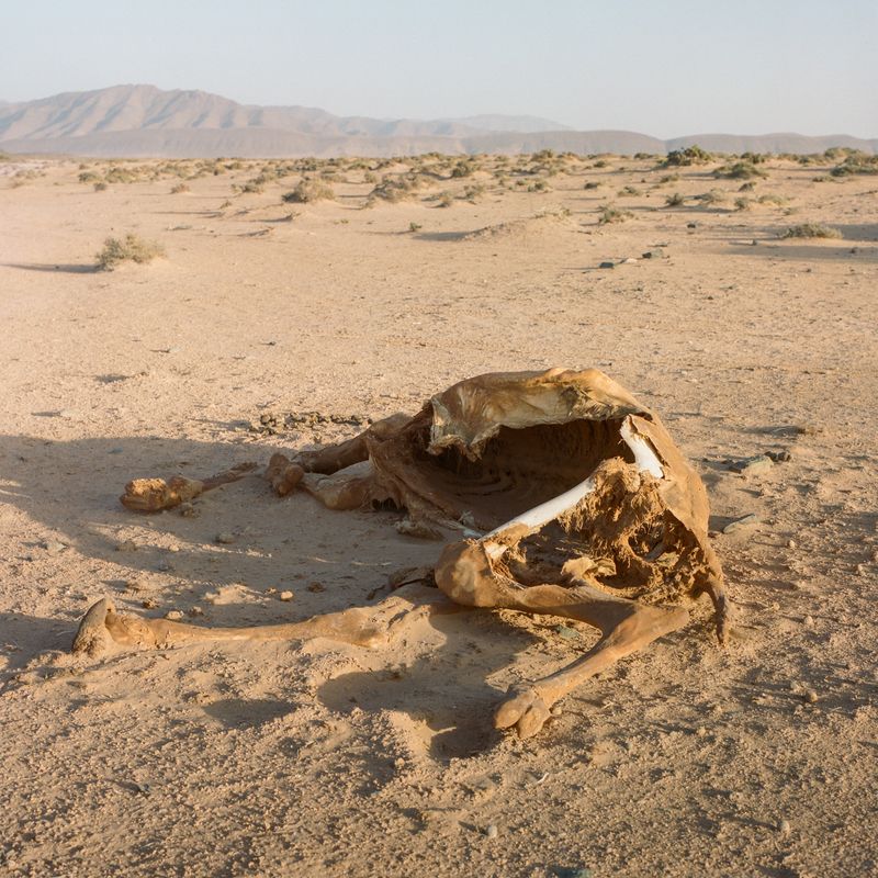© M'hammed Kilito - Image from the Before it's gone photography project