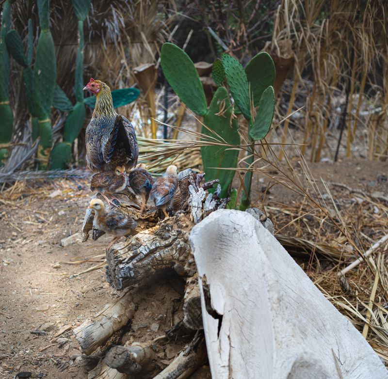 © Jana von Hase/Bruckner - Image from the The African Kimono photography project