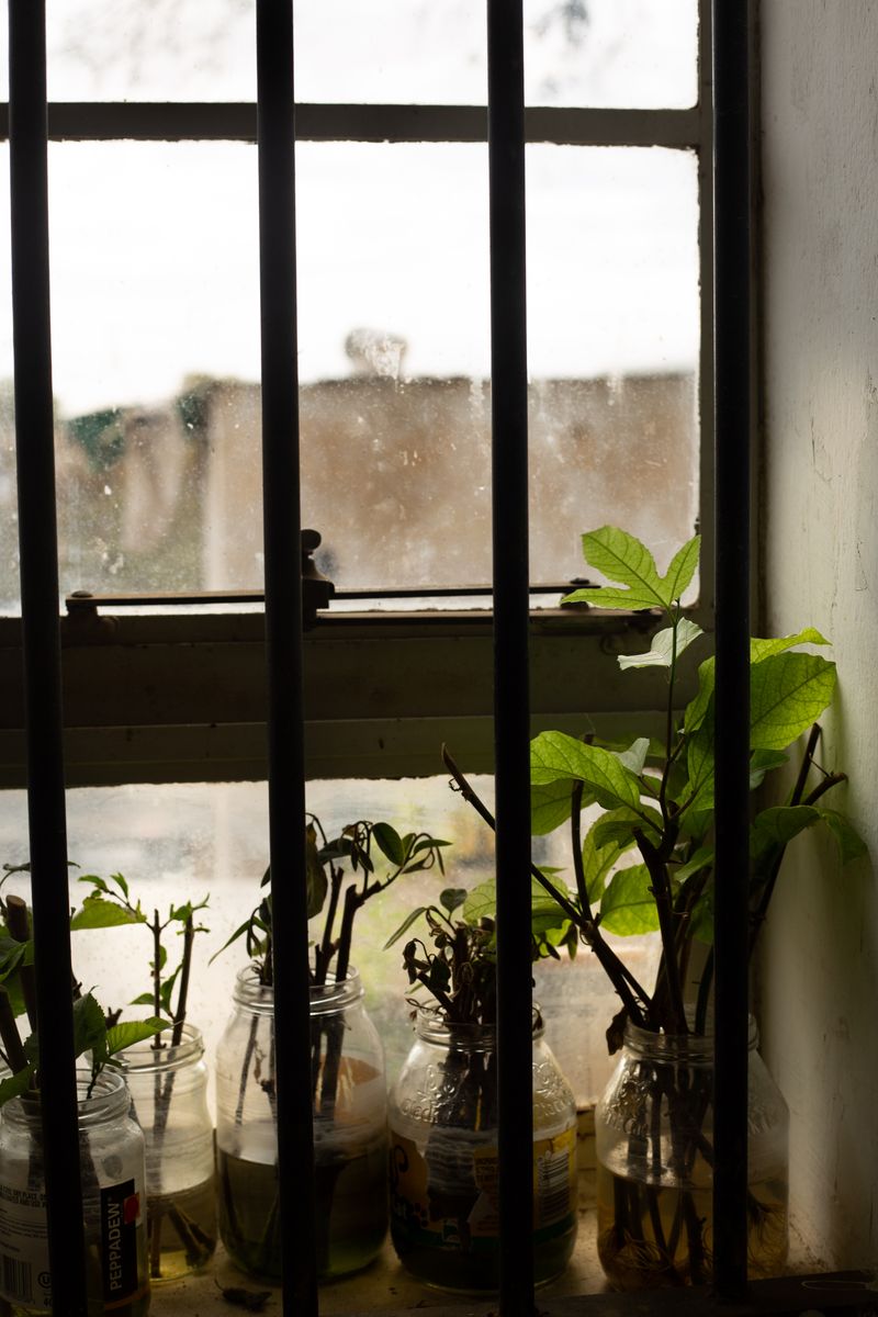 © Jana von Hase/Bruckner - Image from the The African Kimono photography project