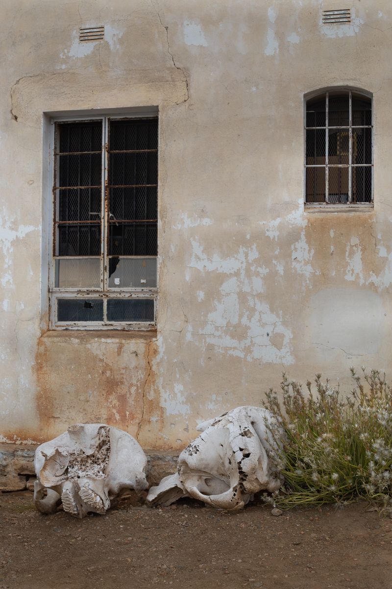 © Jana von Hase/Bruckner - Image from the The African Kimono photography project