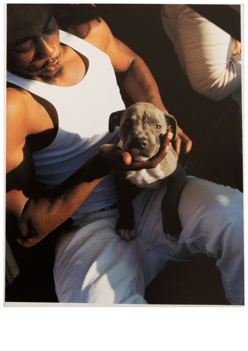 © Stig De Block - Image from the BACK TO BACK: Backyard to Boulevard photography project