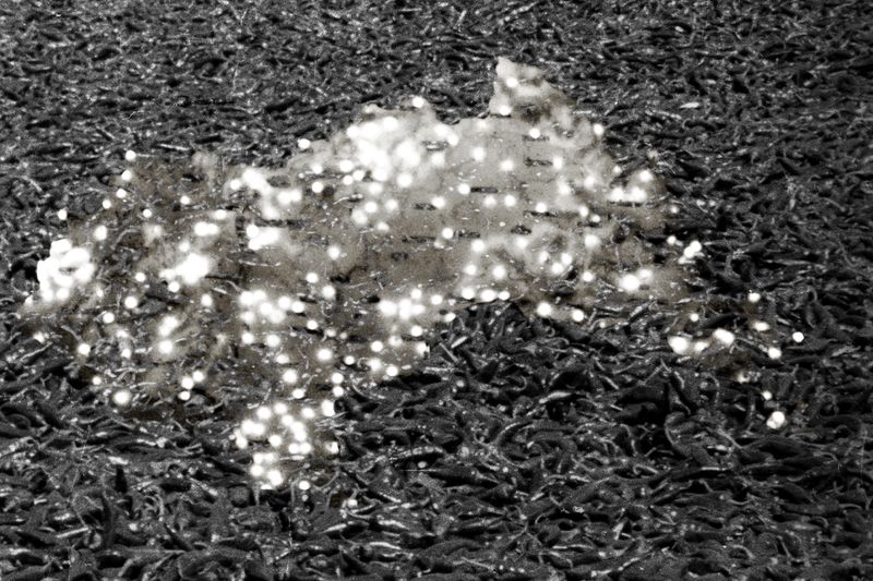 © Vanessa Lucrezia Francia - manipulation of an Archive picture from Fortepan/Sandor György