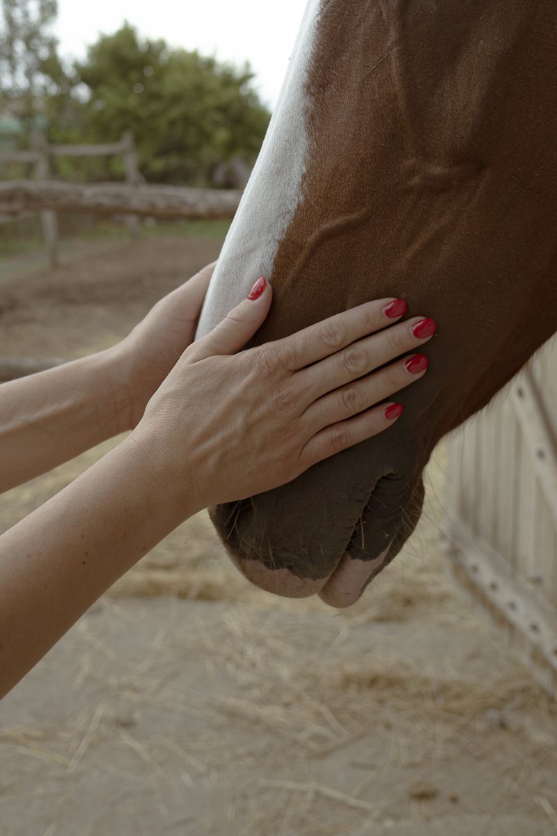 © Vanessa Lucrezia Francia - Image from the Se potessi essere Farfalla photography project