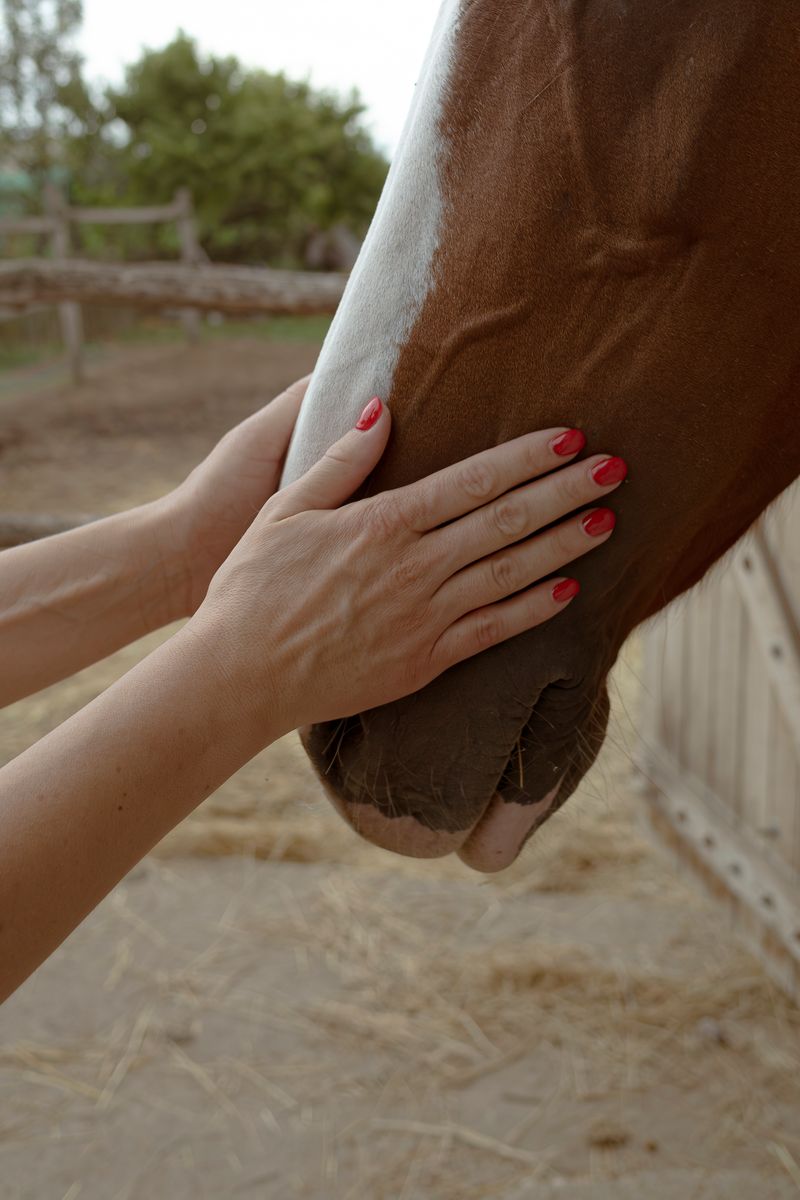 © Vanessa Lucrezia Francia - Image from the Se potessi essere Farfalla photography project