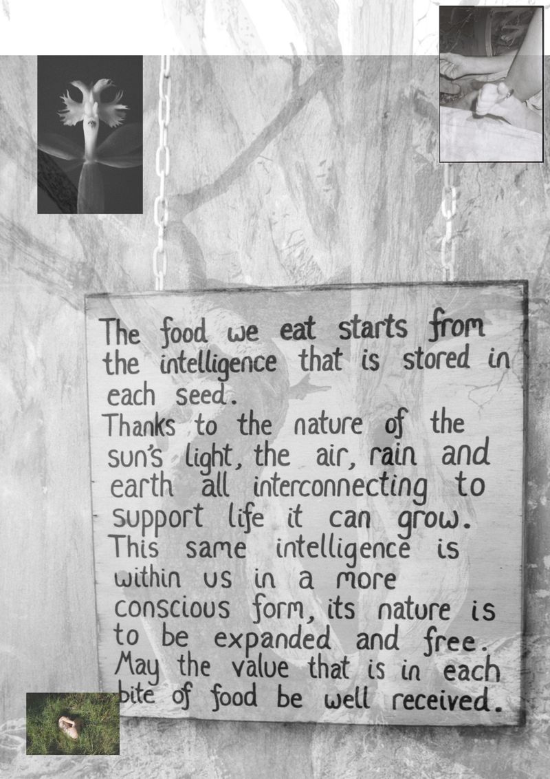 © Chrystal de louise - Image from the slippage photography project