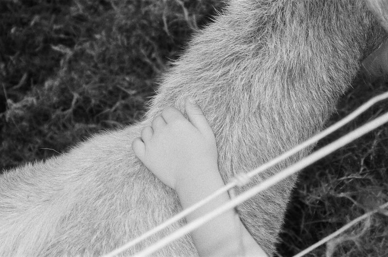 © Chrystal de louise - fibre-the labour of holding