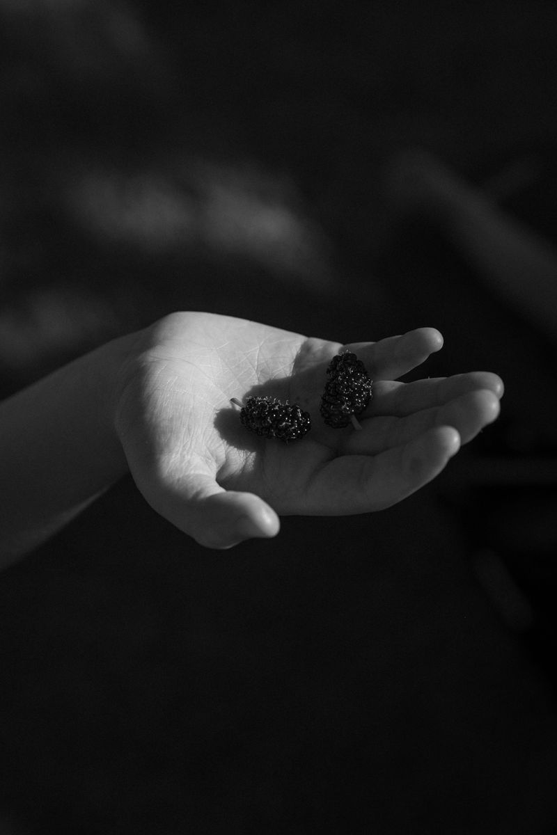 © Chrystal de louise - rhythms of nature