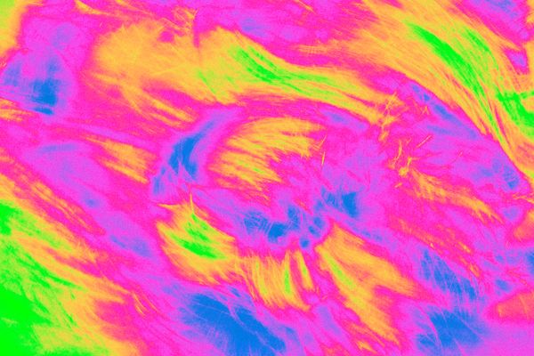 © マエダ モトツグ. - 01-Sun /mototsugu maeda