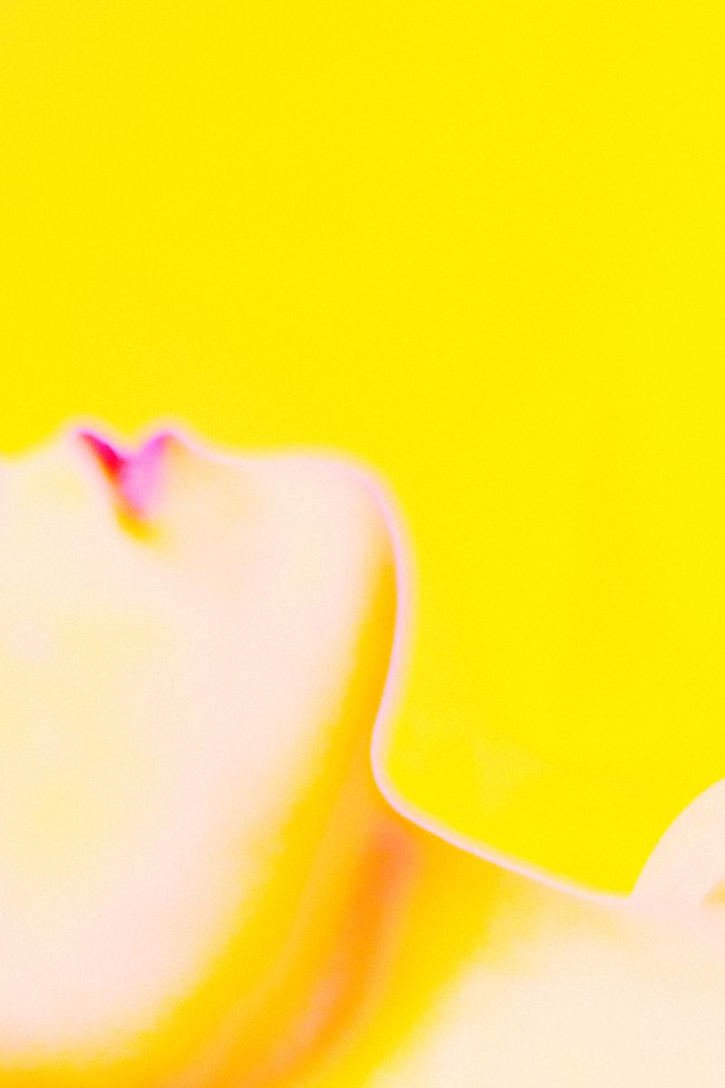 © マエダ モトツグ. - 06-Jupiter /mototsugu maeda