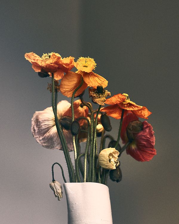© Simon Fitzpatrick - Image from the Flowers under a pendant light photography project