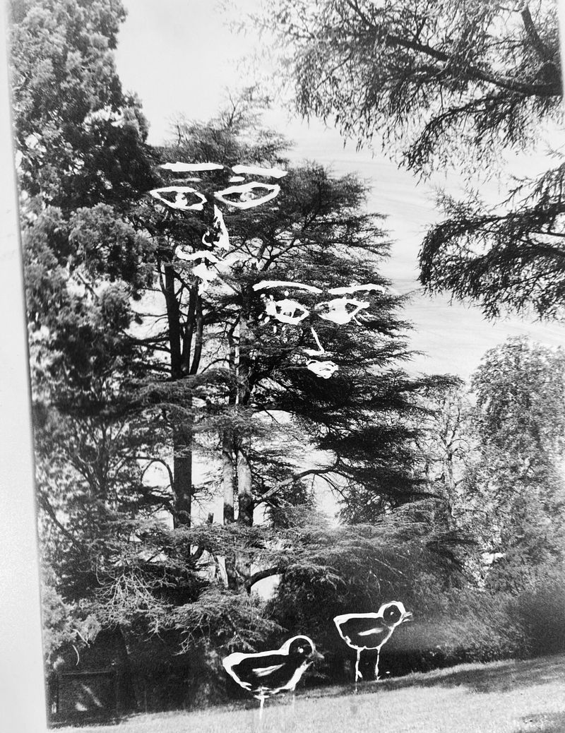 © Tahereh - Image from the LIGHT IN MY POCKET photography project