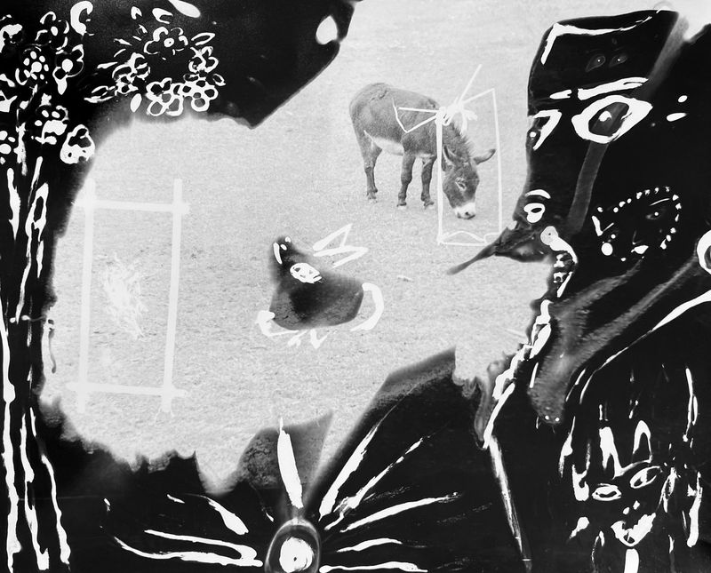 © Tahereh - Image from the Light In My Pocket photography project