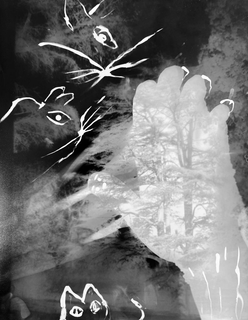 © Tahereh - Image from the Light In My Pocket photography project