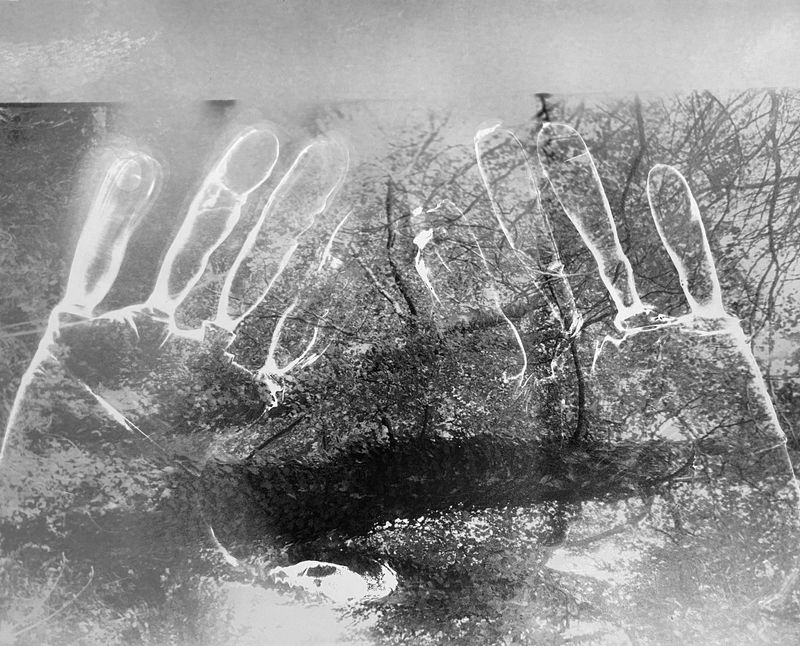 © Tahereh - Image from the LIGHT IN MY POCKET photography project