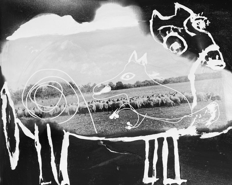 © Tahereh - Image from the Light In My Pocket photography project