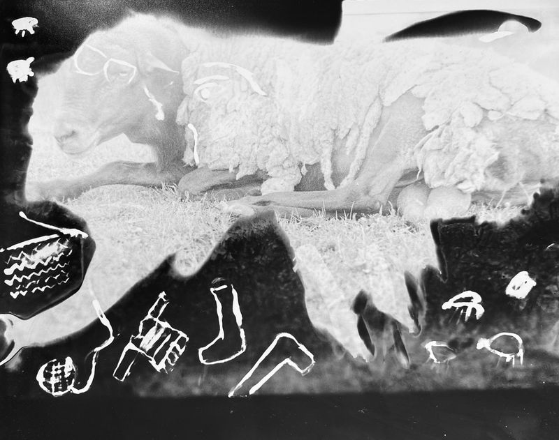 © Tahereh - Image from the Light In My Pocket photography project