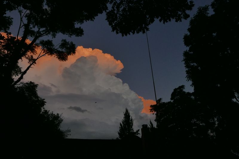 © Wendy Fredriksson - Before The Storm