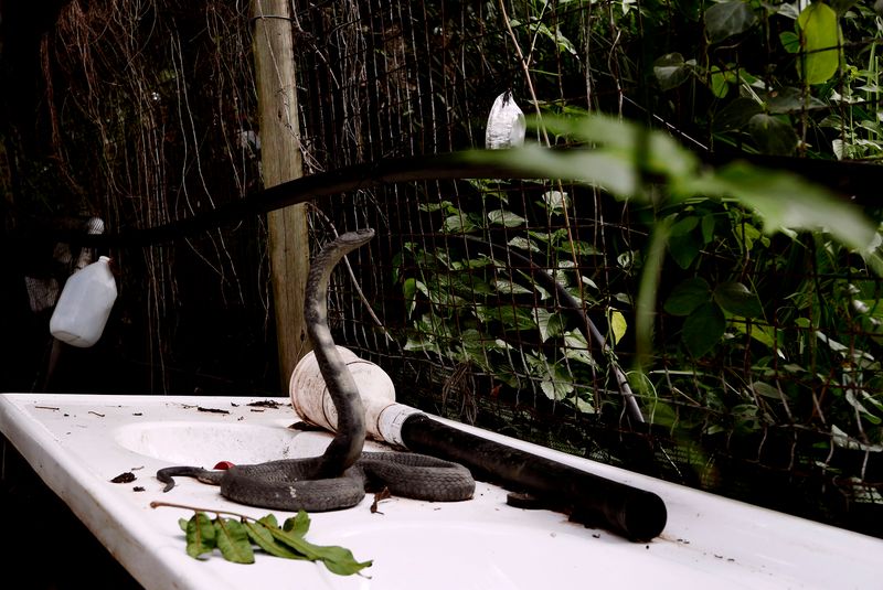 © Wendy Fredriksson - Deterrent