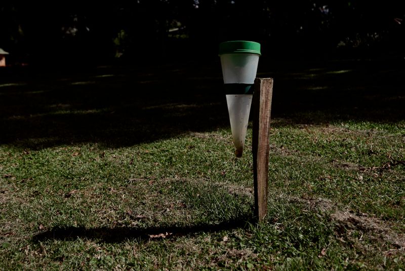 © Wendy Fredriksson - Rain Guage