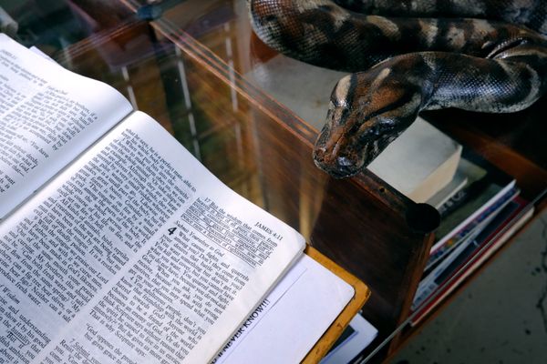 © Wendy Fredriksson - The Bible