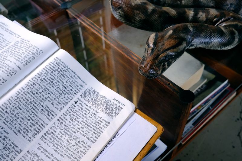 © Wendy Fredriksson - The Bible