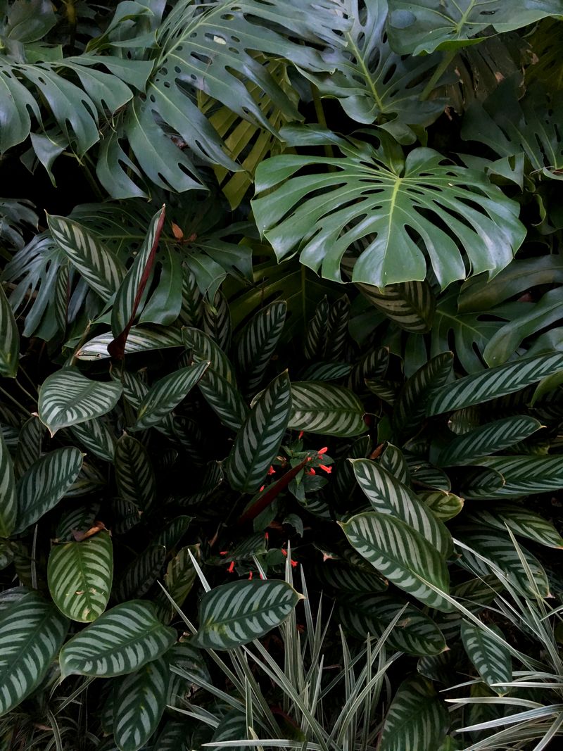 © Wendy Fredriksson - Garden