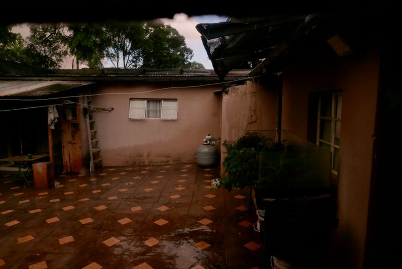 © Wendy Fredriksson - Daisies During a Storm