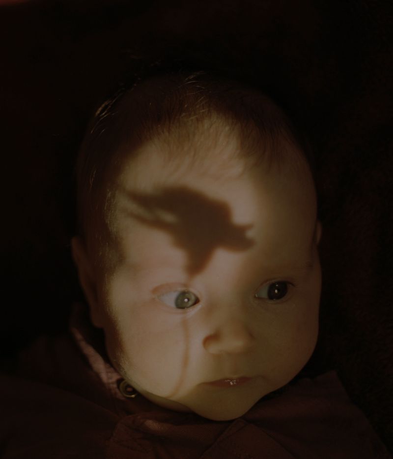 © Tori Ferenc - Carnation.