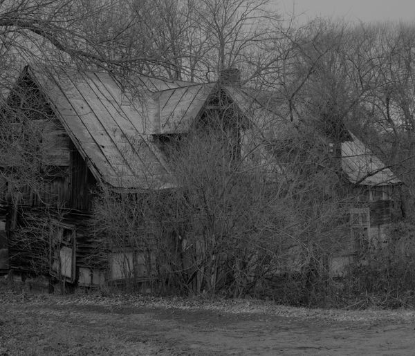 © Tori Ferenc - Image from the A Fantasy on Polish Airs photography project